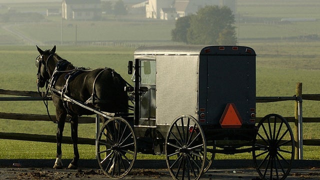 A horse drawn buggy travels past police tape near the one room Amish school house where five girls were shot and killed 