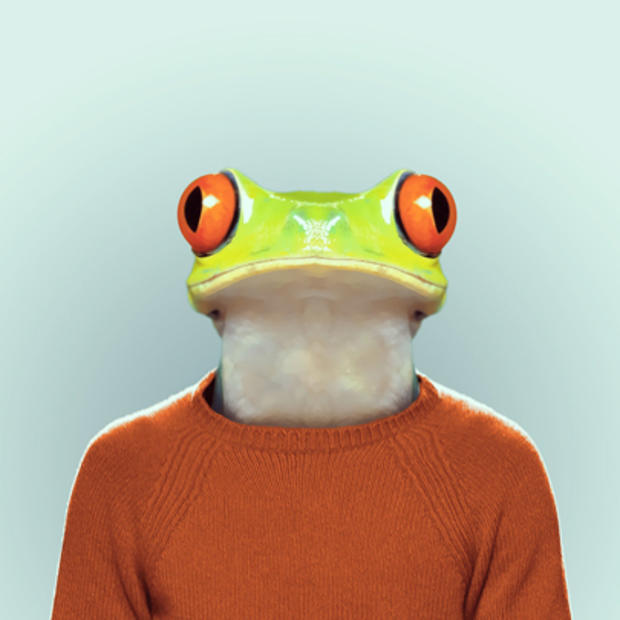 frog_3.jpg 