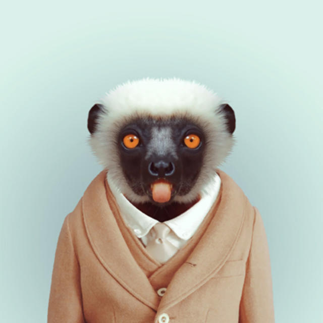 zoo animals in clothes