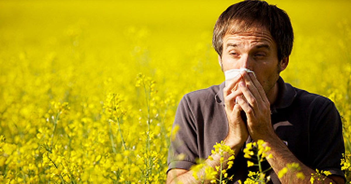 Jackson, Mississippi tops list of "allergy capitals" CBS News