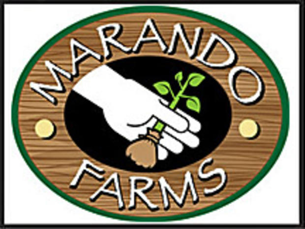 Marando_Farms 