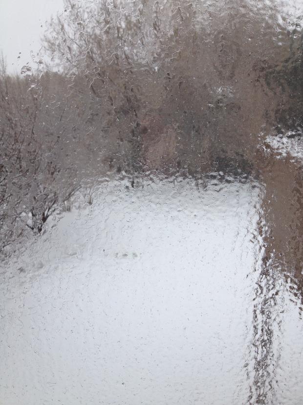 Icy Window In Woodbury, Minn.  