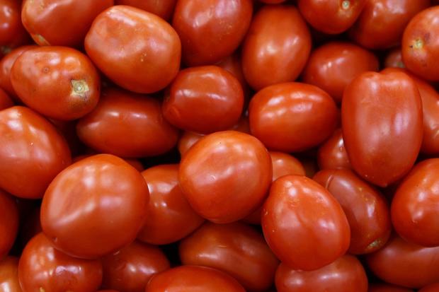 Roma Tomatoes 