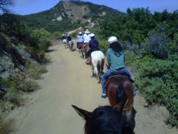 Los Angeles Horseback Riding 