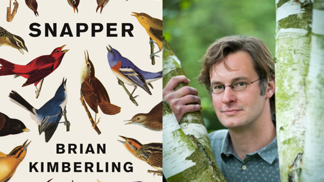 Snapper, Brian Kimberling 