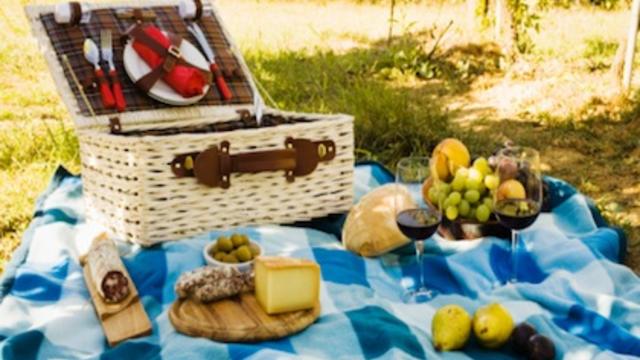 picnic-feature.jpg 
