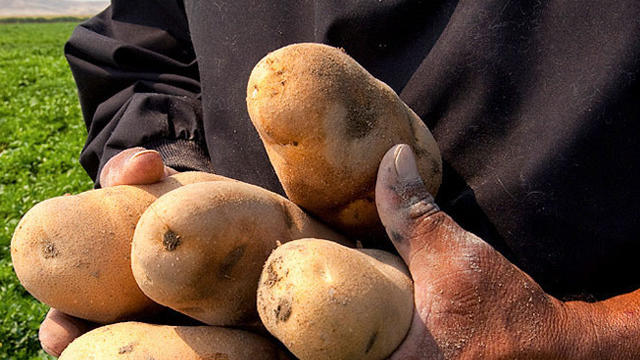 potatoes.jpg 
