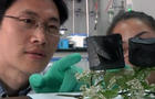 Chinese scientists have produced the world's lightest material. 