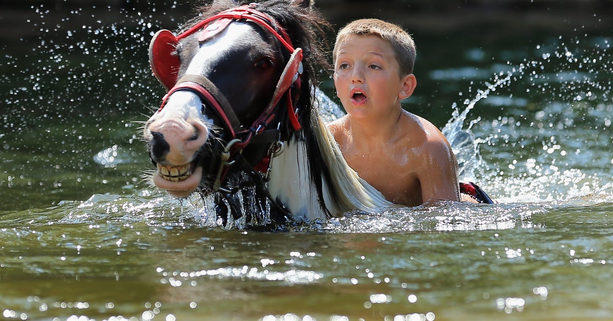 Thousands attend 328-year-old horse fair
