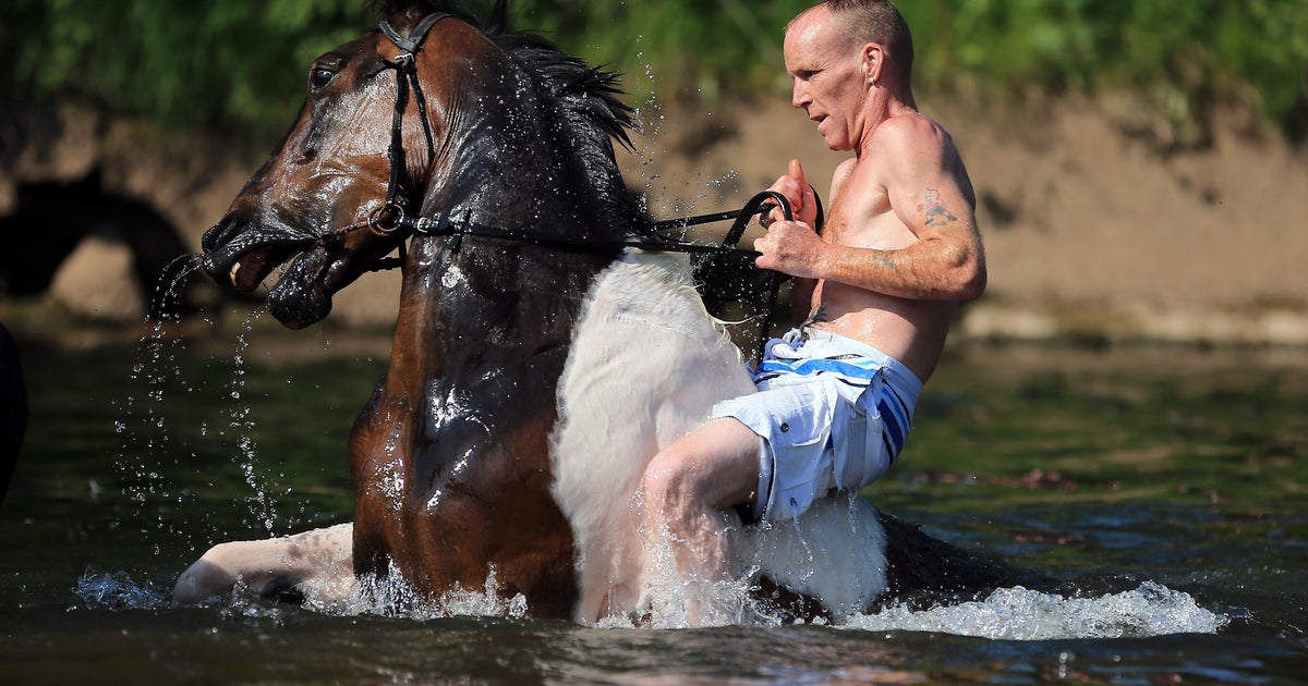 Thousands attend 328-year-old horse fair
