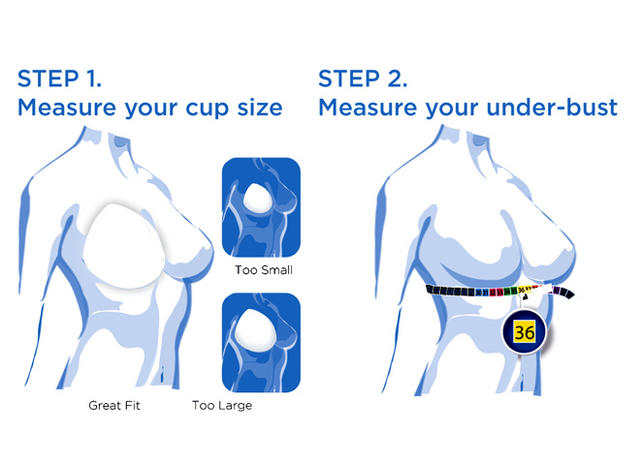 nancy pelosi bra size