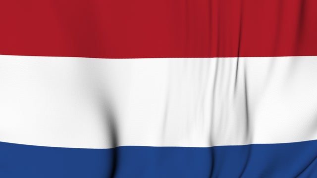 netherlands_flag.jpg 