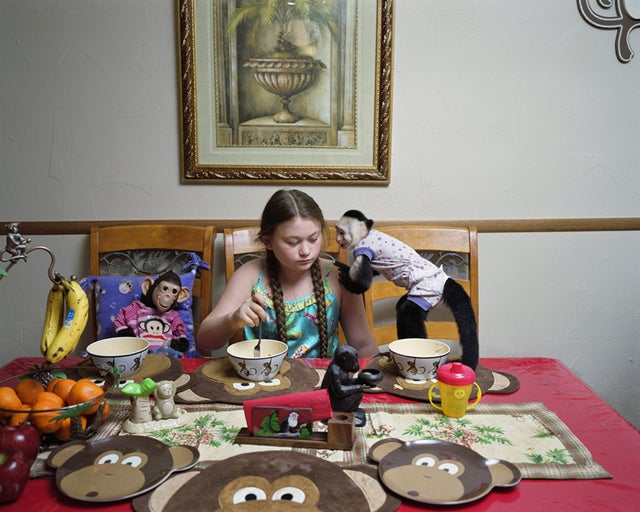 Amelia and the animals