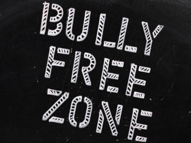 Bully Free Zone 