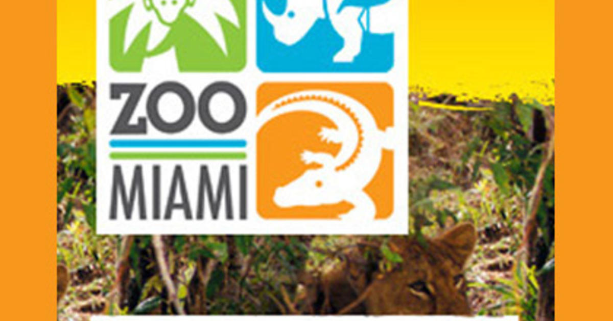A Guide To Zoo Miami CBS Miami