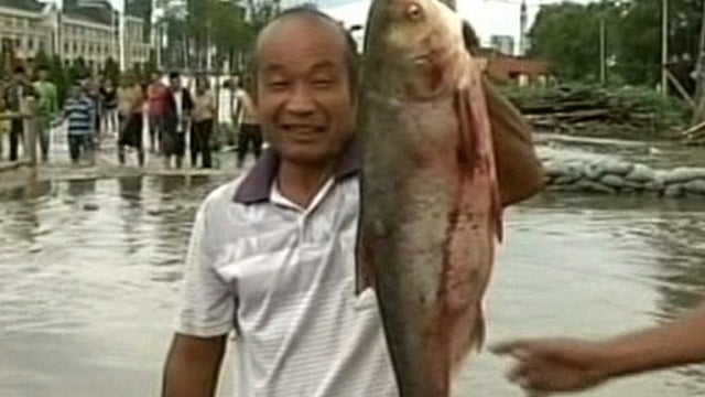 fuxin, china, fish 