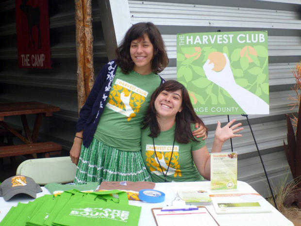 Harvest Club 