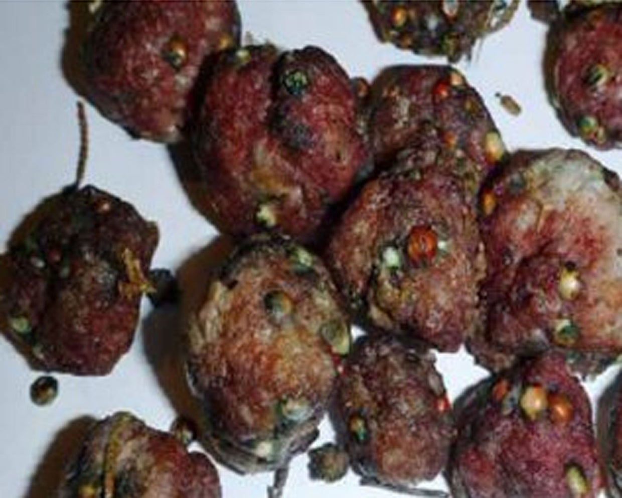 Meatball poisoning kills dog in San Francisco, reward rises in case ...