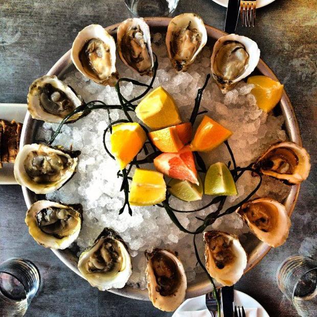 Crave Fishbar oysters 