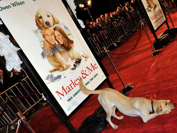 Premiere Of 20th Century Fox's "Marley &amp; Me" - Arrivals 