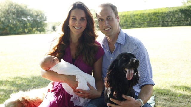 The Duke and Duchess of Cambridge and Prince George are pictured in early August in the Middleton's garden with a retriever called Tilly (a Middleton family pet), and with Lupo, the couple&acirc; 