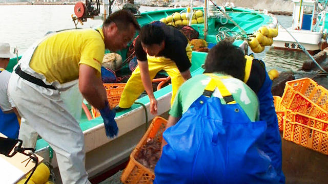 For more than a year after the 2011 earthquake and tsunami, fishermen weren't allowed to fish at all; new nuclear plant leaks have dealt them a new blow. 