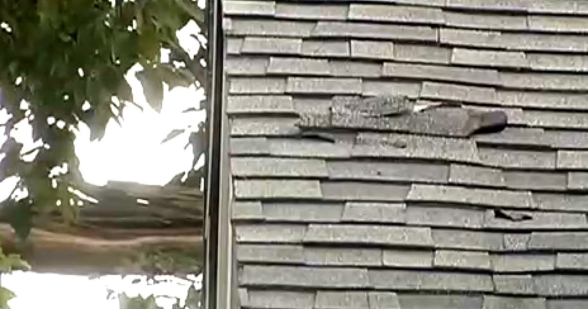 Fire extinguisher flies a quartermile into Conn. home CBS News