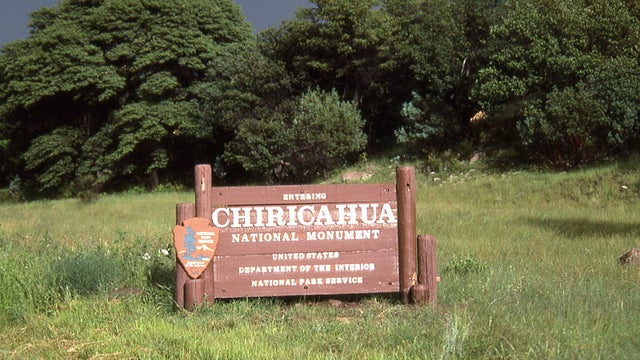 800px-Chiricahua_001_L.D.jpg 