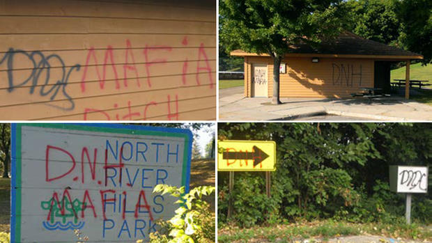 Burnsville Vandalism 