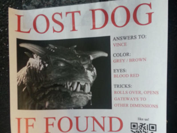 Lost Dog 