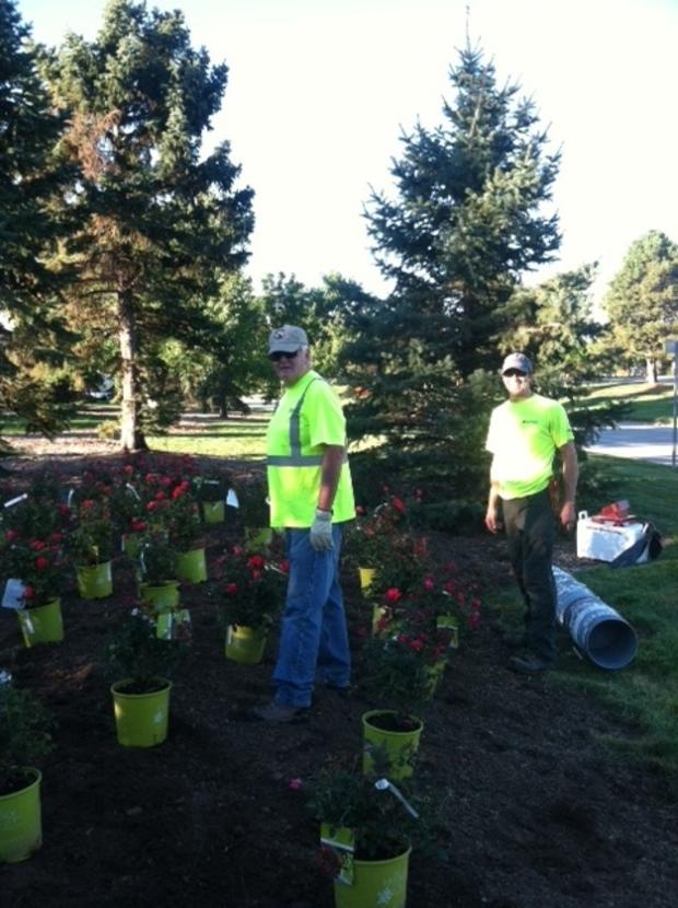 day-of-service-40-highlands-ranch-credit-carrie-ward.jpg 
