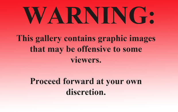 warning-graphic-images.jpg 