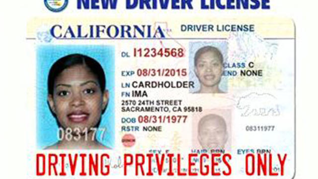 new-drivers-license.jpg 