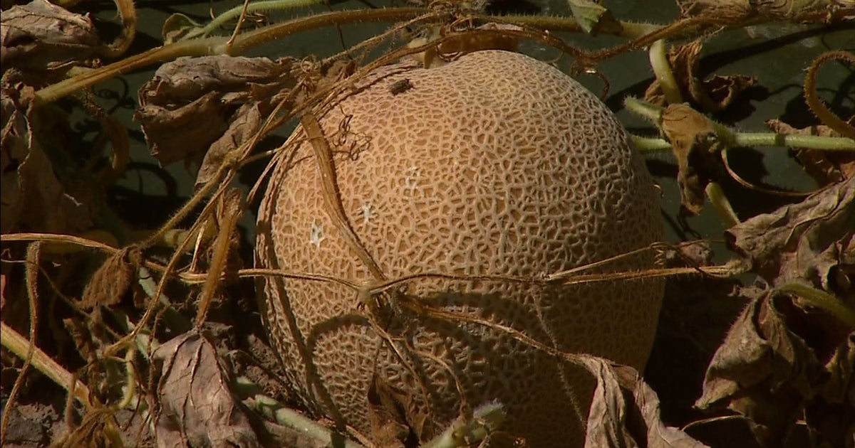 Cantaloupe farmers linked to listeria outbreak charged in federal court