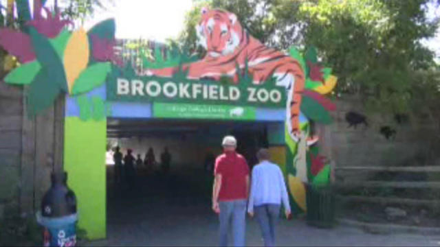 bookfield-zoo.jpg 