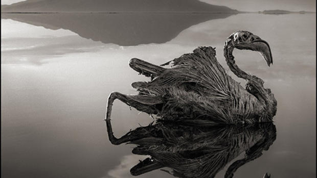 Haunting images of Africa and the world's deadliest lake 