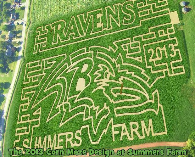 Summers Farm 