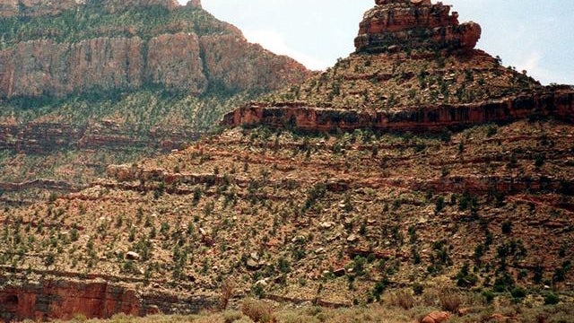 720040.jpg 