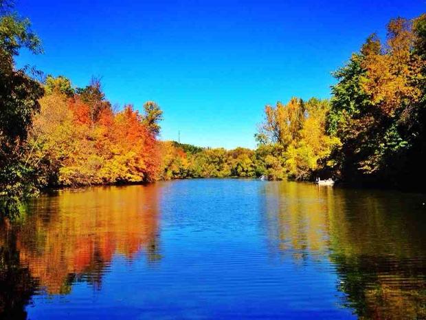 fall-colors-maple-grove.jpg 