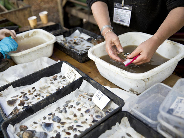 Artifacts gathered from an archaeological site known as Blick Mead are cleaned and sorted in Amesbury, England, in this Oct. 13, 2013, picture provided by The University of Buckingham. 