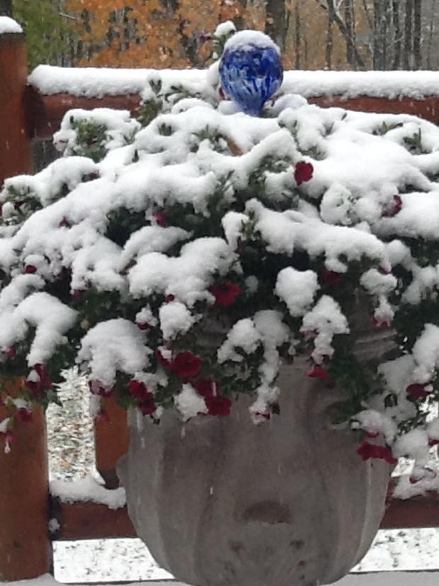 snow-in-wahkon-rhonda-bennington.jpg 
