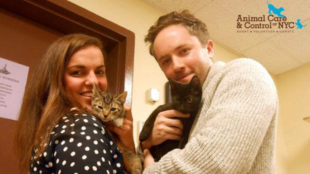 Subway Kittens, Arthur And August, With New Parents 
