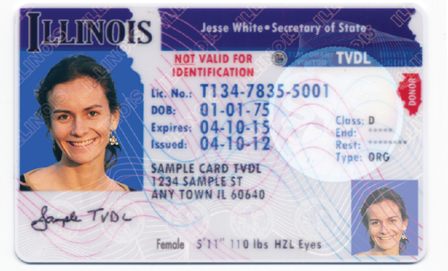 What Do You Take To Illinois SOS To Get Your Driver's License