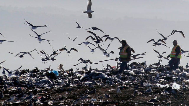 Workers walk through the trash at the Puente Hill Landfill in Puente Hills, Calif., on Thursday, Oct. 31, 2013. The nation's largest landfill, where 130 million tons of garbage have been dumped, is closing Thursday after more than a half-century of servic 