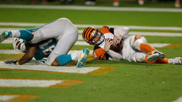 bengals-and-dolphins-safety.jpg 