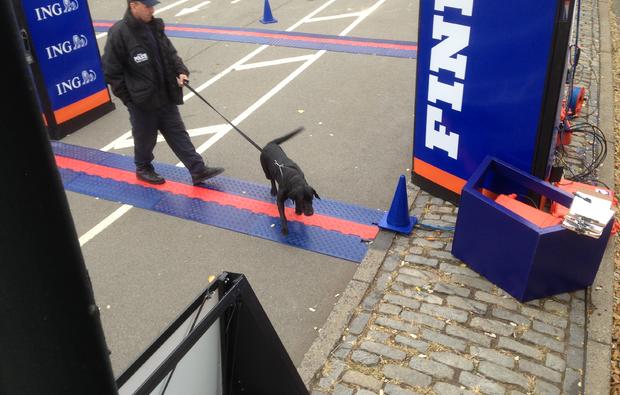 nypd-police-dog-at-nyc-marathon-finish-line-20131.jpg 