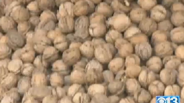 Walnuts---CBS-Sacramento.jpg 