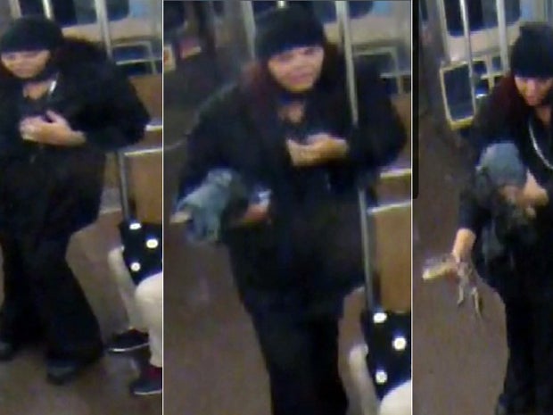 A woman with a 2-foot-long alligator is seen aboard a Chicago Transit Authority Blue Line train early Nov. 1, 2013, in Chicago in this combination of images provided by the CTA Nov. 13, 2013. 