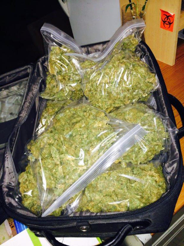 Marijuana seized following 8-month investigation into alleged drug traffickers 