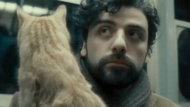 Inside_Llewyn_Davis_Isaac_cat.jpg 